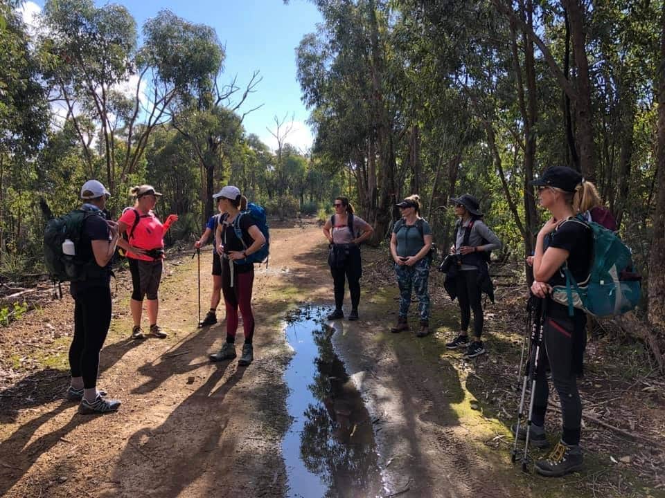 Everard Three Peaks (Kinglake) 4 Everard Three Peaks (Kinglake)