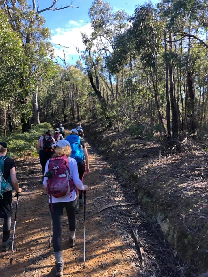 TakeShape Adventures - mteverard_daywalk_walkers.jpg