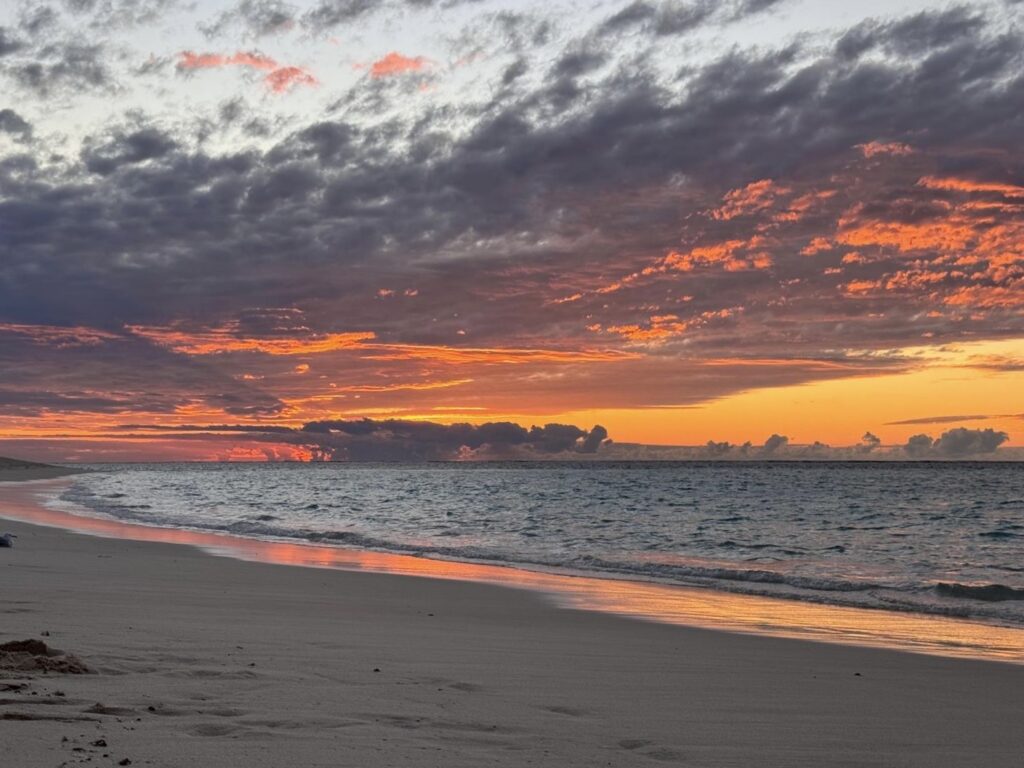The Power of Regret: Why Looking Backwards Moves Us Forward 5 ningaloo scenery 8