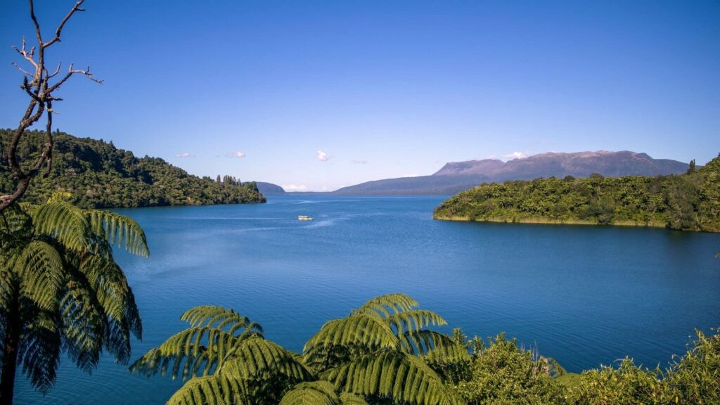 TakeShape Adventures - nz-lake-t.jpeg