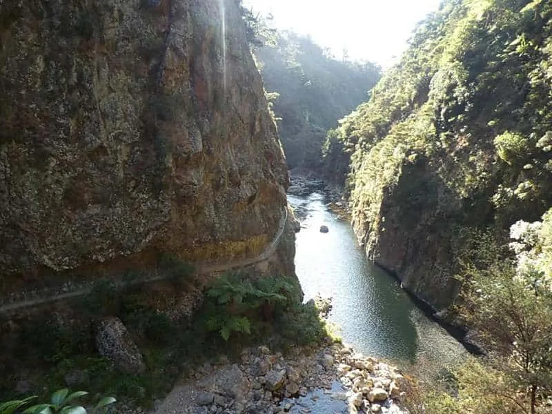 TakeShape Adventures - nz-north-gal21.jpg