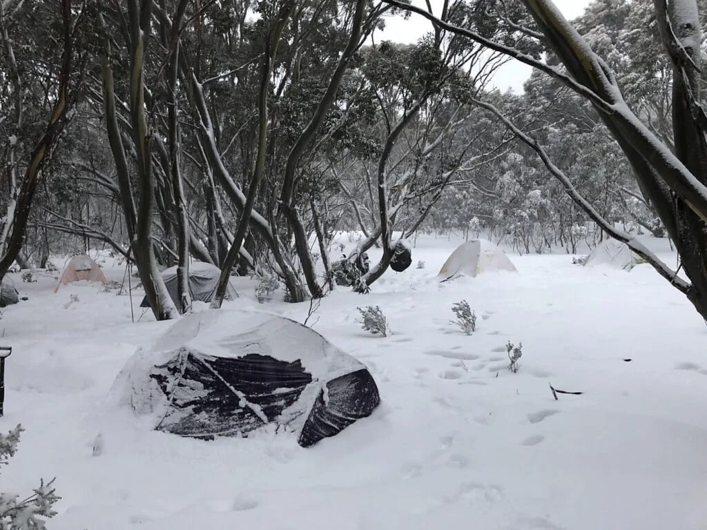 overnighthike mtstirling snowontent1 1024x768 1