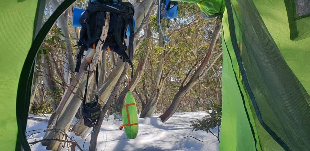 TakeShape Adventures - overnighthike_mtstirling_view1.jpg