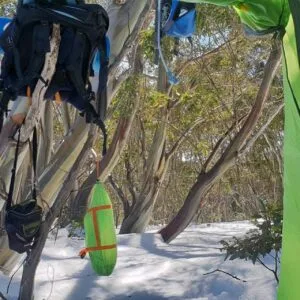 Overnight Hikes 11 TakeShape Adventures - overnighthike_mtstirling_view1.jpg