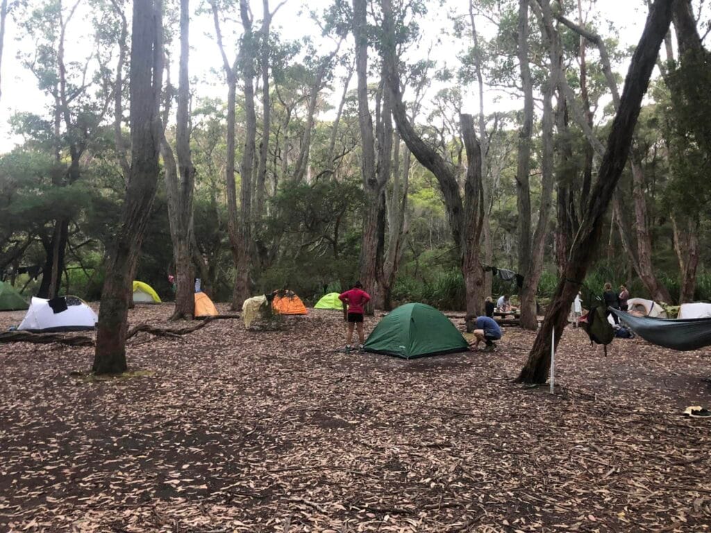 TakeShape Adventures - refuge-cove-feb-6.jpeg
