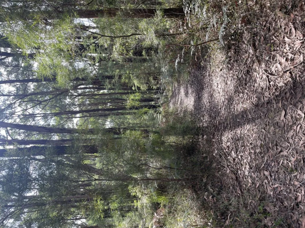 TakeShape Adventures - shortwalk_wrights_image-3-scaled-1.jpg