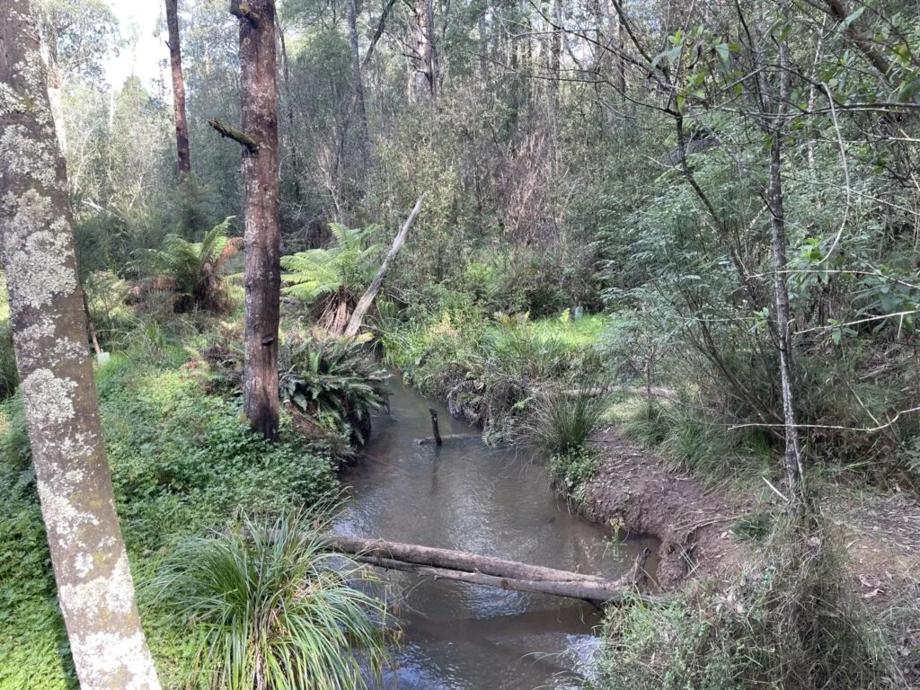 TakeShape Adventures - shortwalk_wrights_image-4-scaled-1.jpg