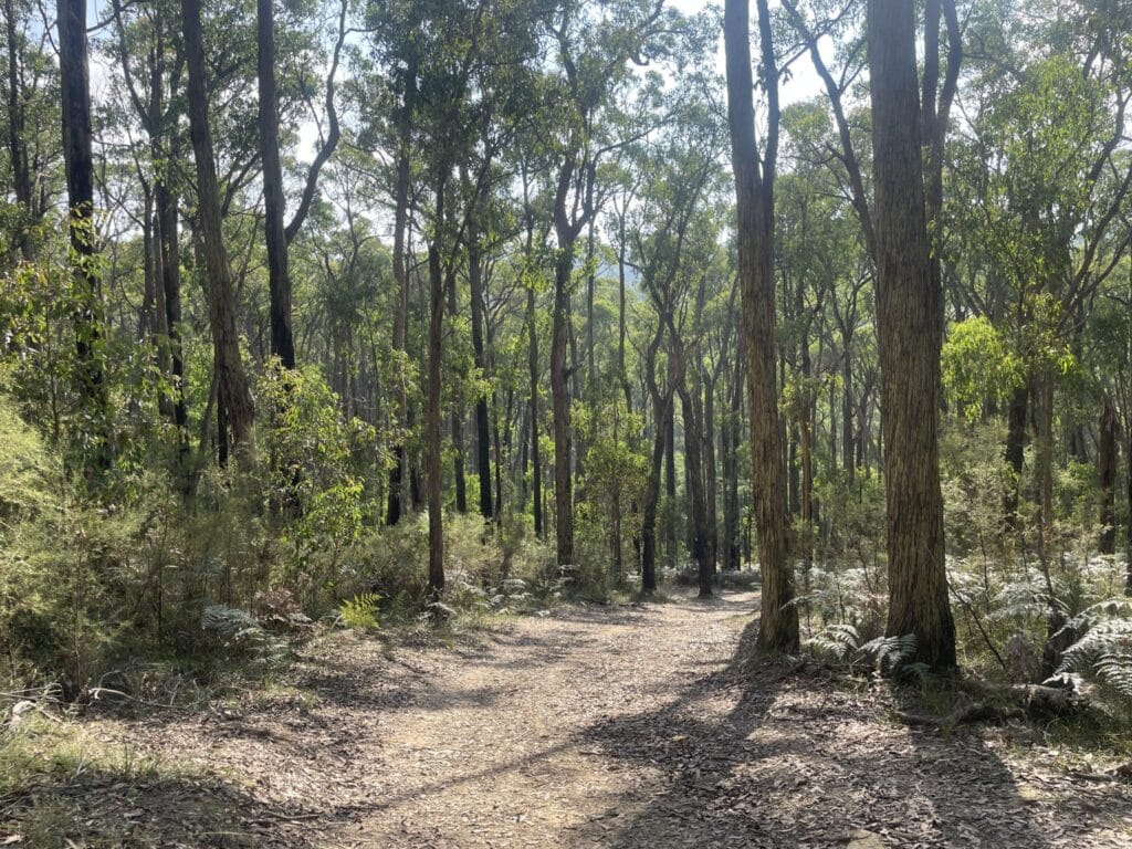 TakeShape Adventures - shortwalk_wrights_image-5-scaled-1.jpg