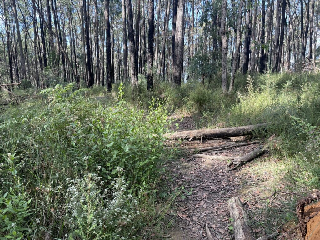 TakeShape Adventures - shortwalk_wrights_image-8-scaled-1.jpg