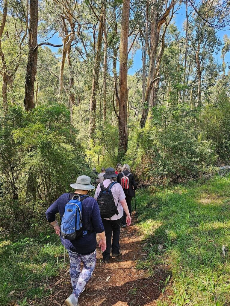 TakeShape Adventures - silvan-hike.jpg