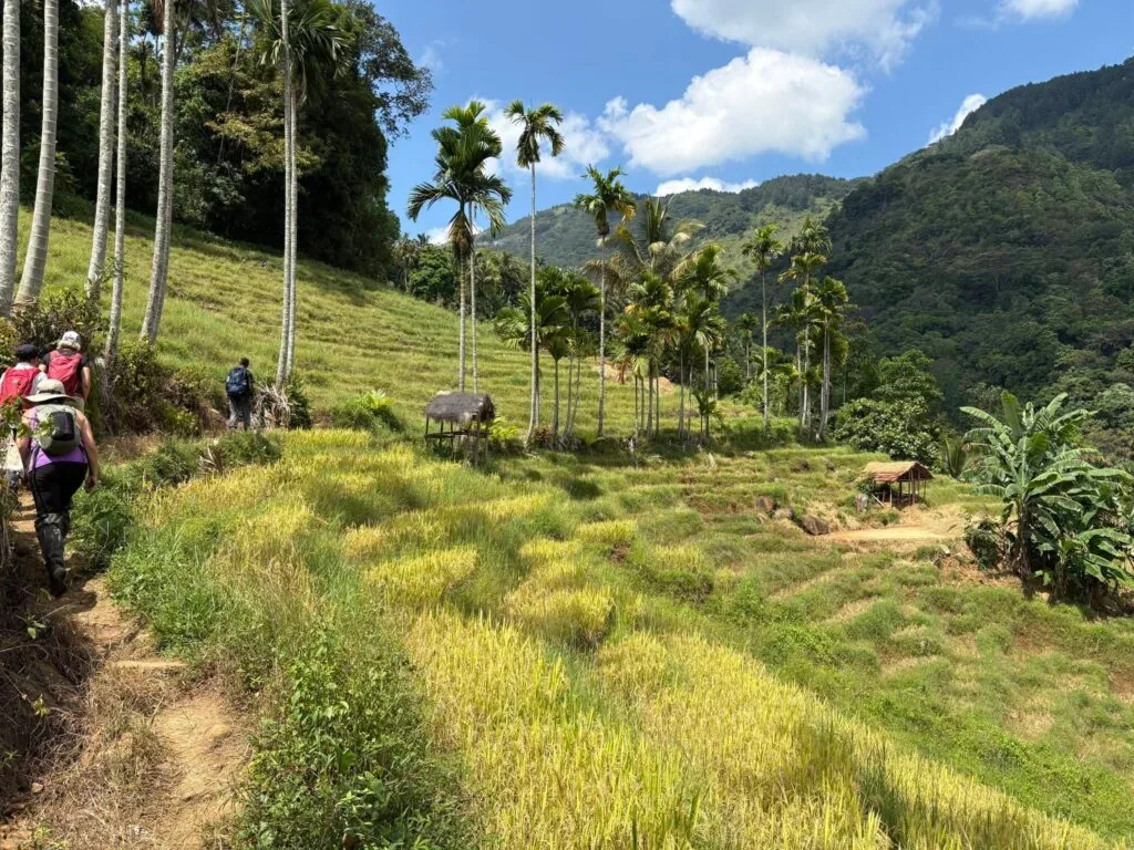 TakeShape Adventures - srilanka_Apr2025_13.jpg