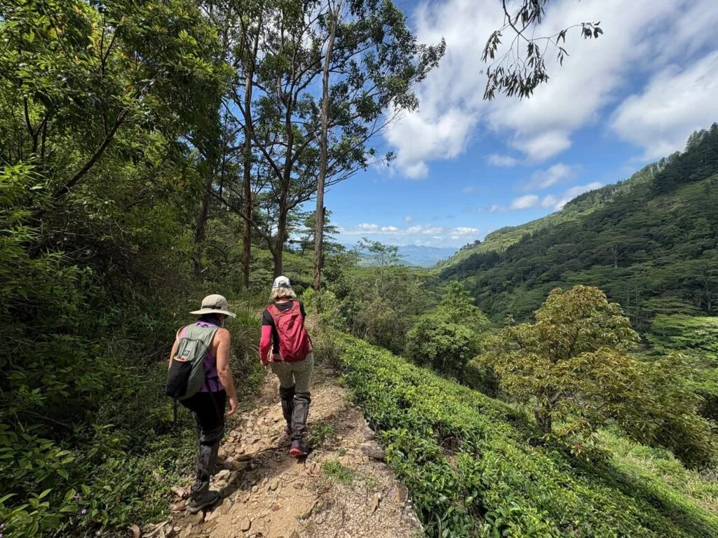 TakeShape Adventures - srilanka_Apr2025_14.jpg