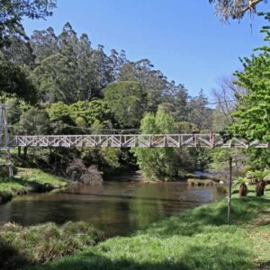 Warburton - Short Hike