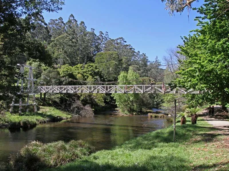 The Best Medicine You’re Not Taking