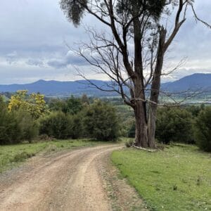 Warramate Hills - Short Hike