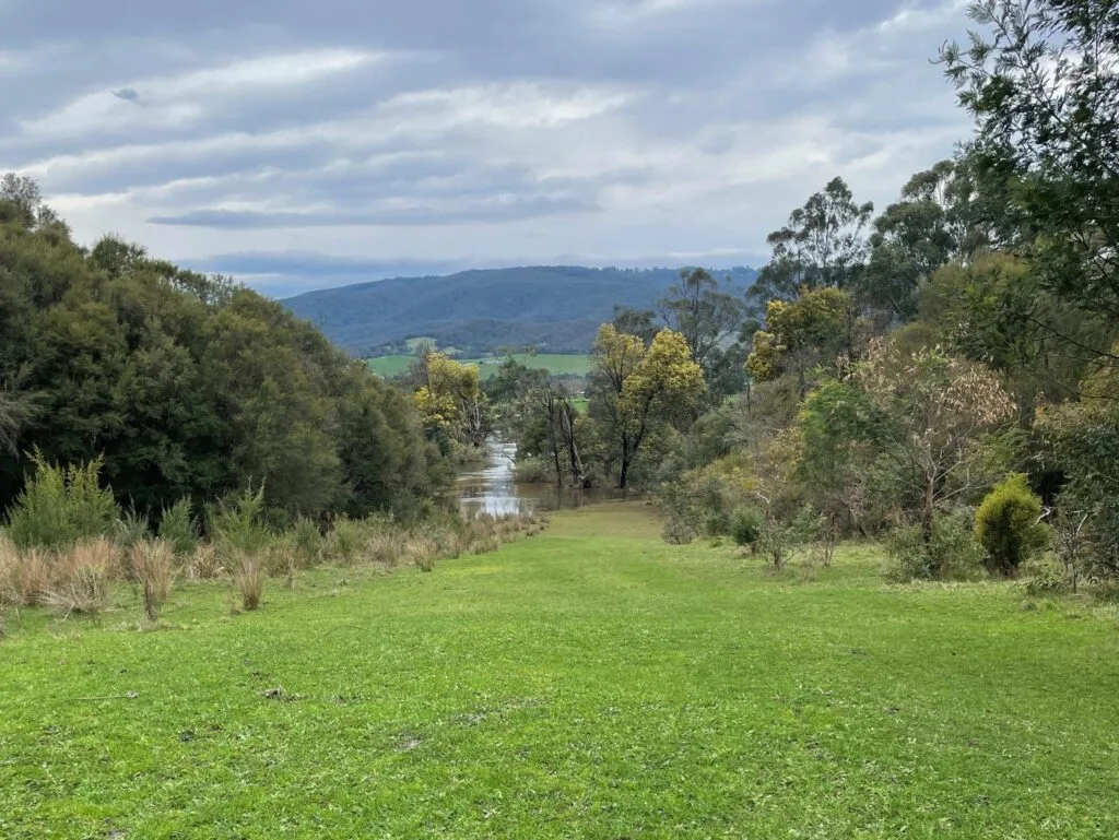 TakeShape Adventures - warramatehills_short-hike_view-1-scaled-1.jpg