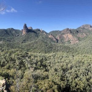 TakeShape Adventures - warrumbungle-11.jpg