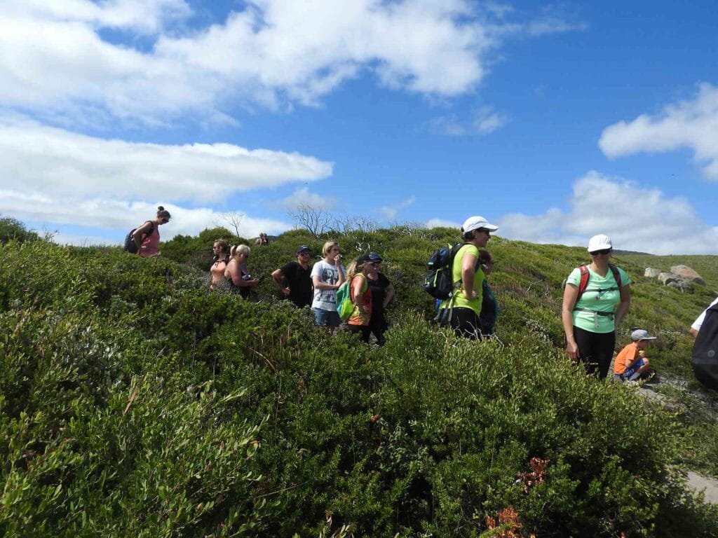 TakeShape Adventures - weekendescape_wilsonsprom-_group1.jpg