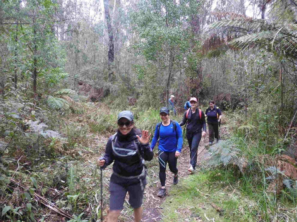 TakeShape Adventures - wilhelmina_daywalk_walkers1.jpg