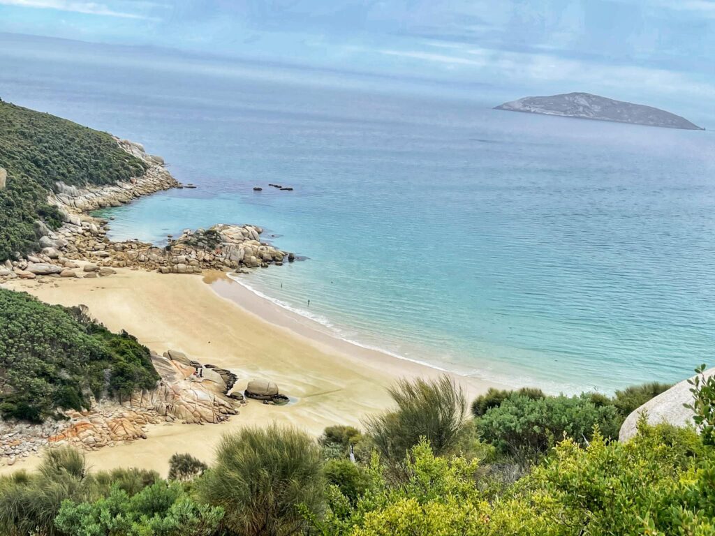 wilsonsprom smphoto 2 1024x768 1