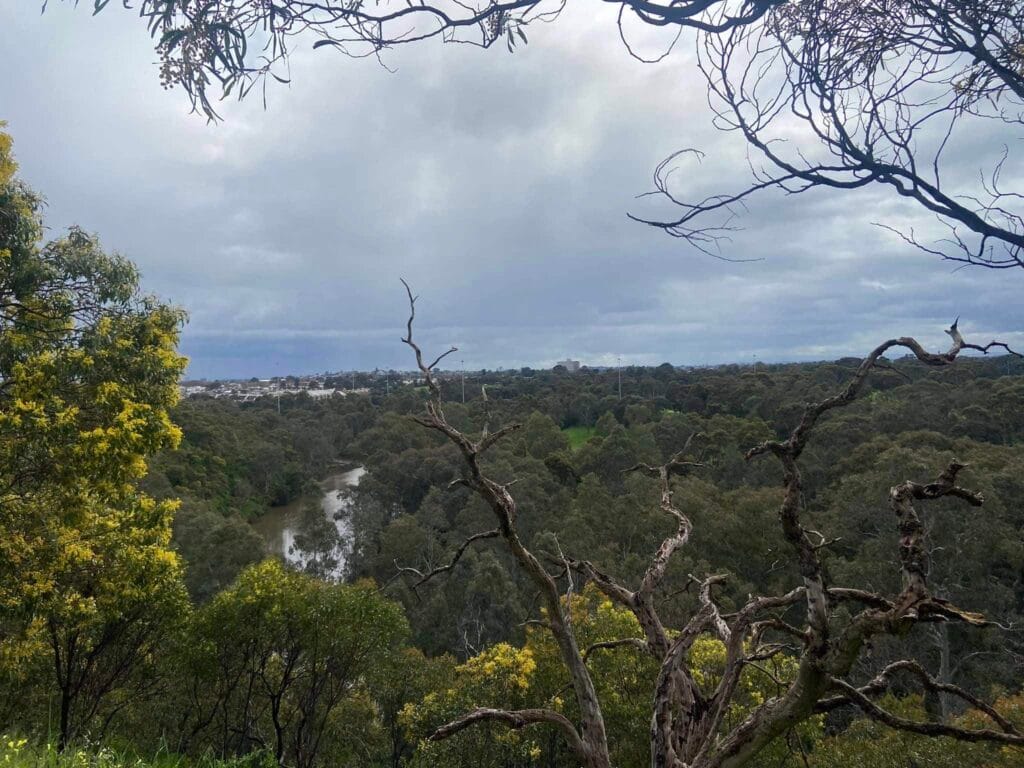 TakeShape Adventures - yarra-trails-3.jpg