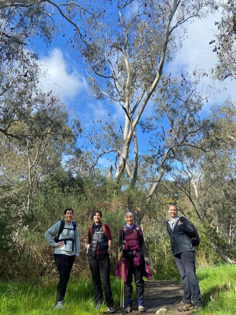 TakeShape Adventures - yarra-trails-hn.jpg