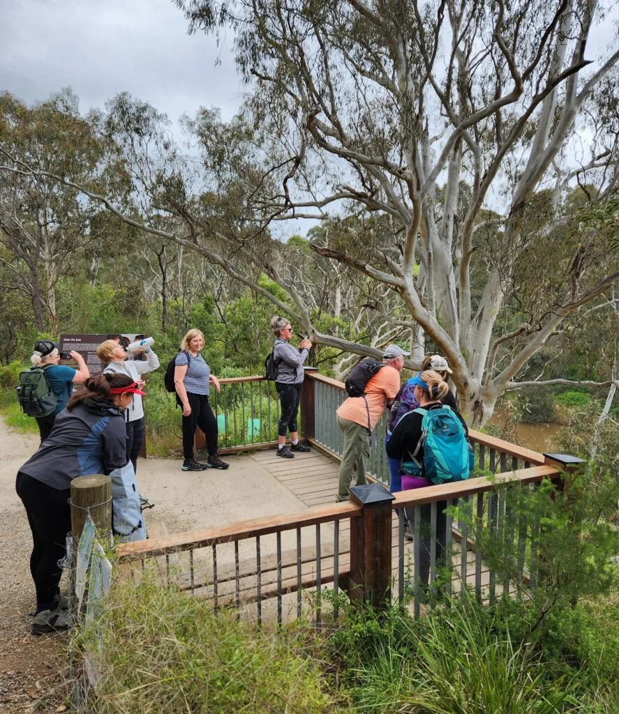 TakeShape Adventures - yarratrails_smphoto-5.jpg