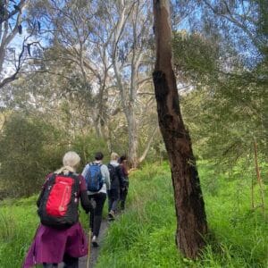 Yarra Trails Urban Hike