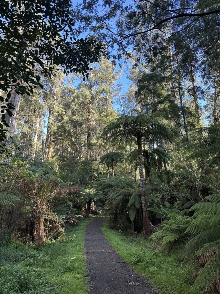 TakeShape Adventures - alfrednicholas_10052025_2