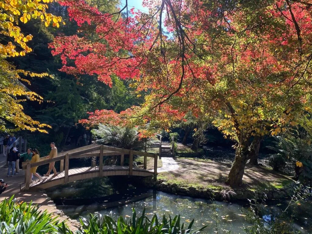 TakeShape Adventures - alfrednicholas_10052025_6