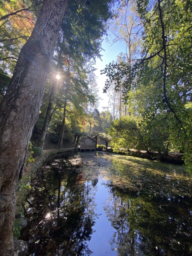 TakeShape Adventures - alfrednicholas_10052025_7