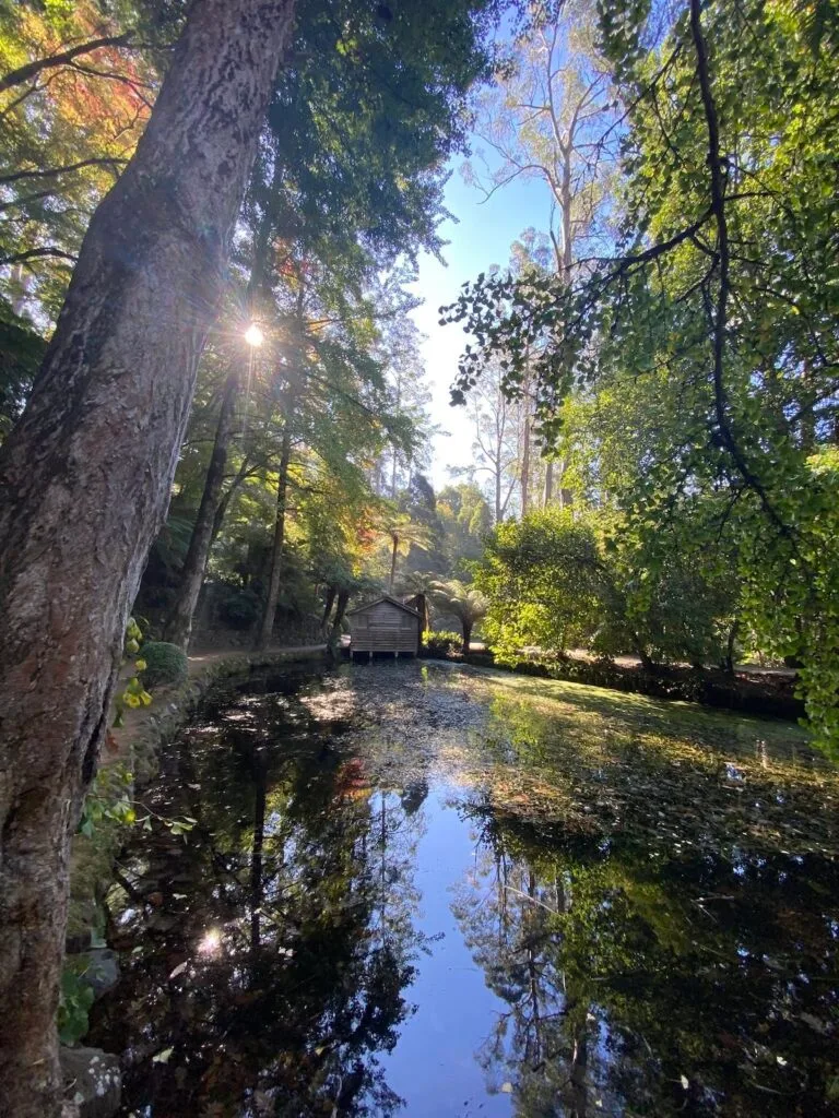 TakeShape Adventures - alfrednicholas_10052025_7