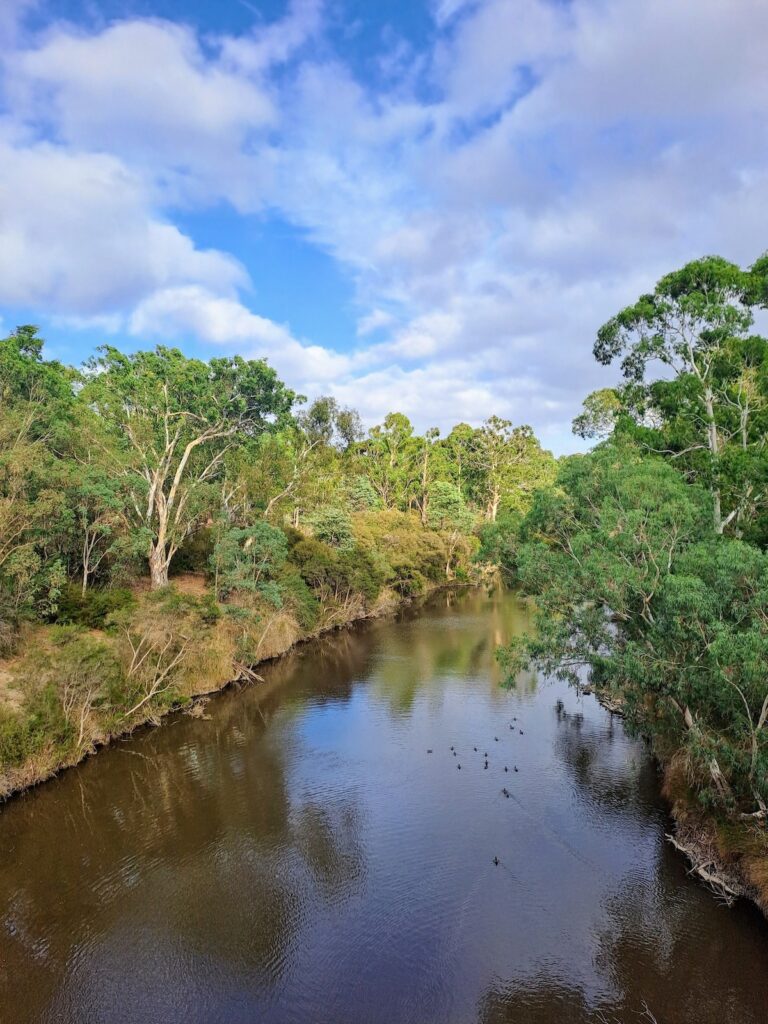 TakeShape Adventures - candlebark_30032025_3