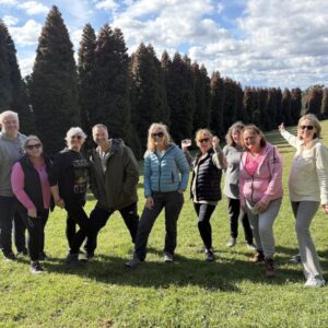 Dandenongs Photography