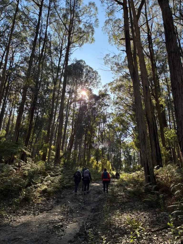 TakeShape Adventures - fourbrothers_06092025