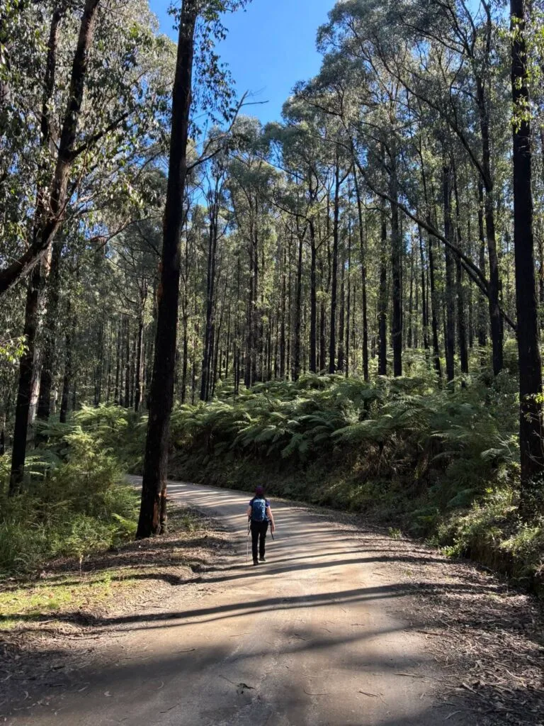 TakeShape Adventures - fourbrothers_06092025_5