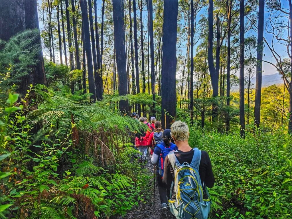 TakeShape Adventures - fourbrothers_scenery (1)