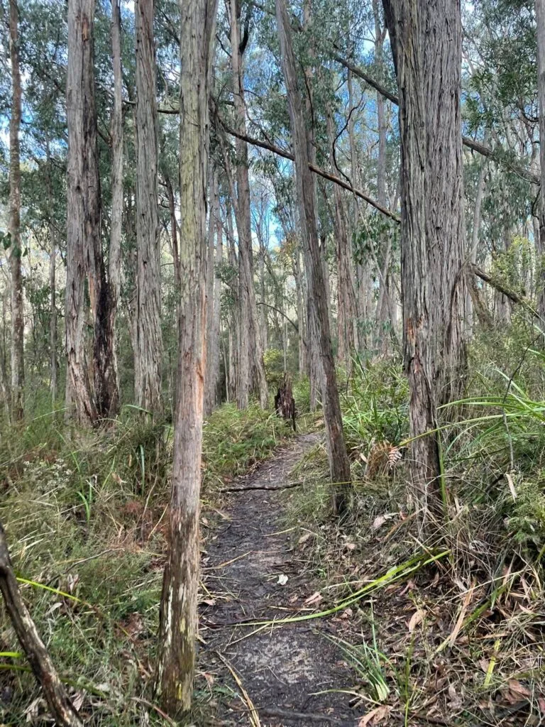 TakeShape Adventures - kurthkiln_31082025_2