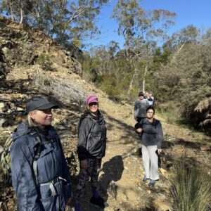 Long Forest - Short Hike