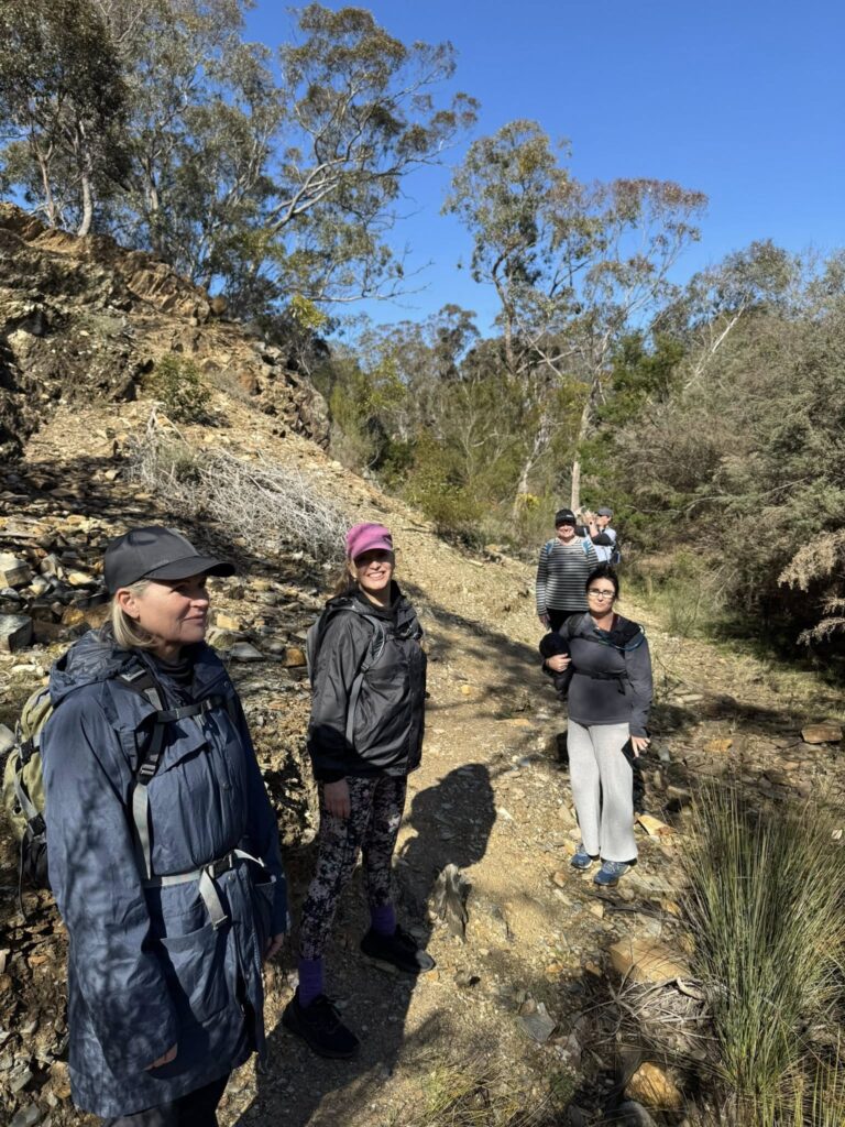 TakeShape Adventures - longforest_30082025