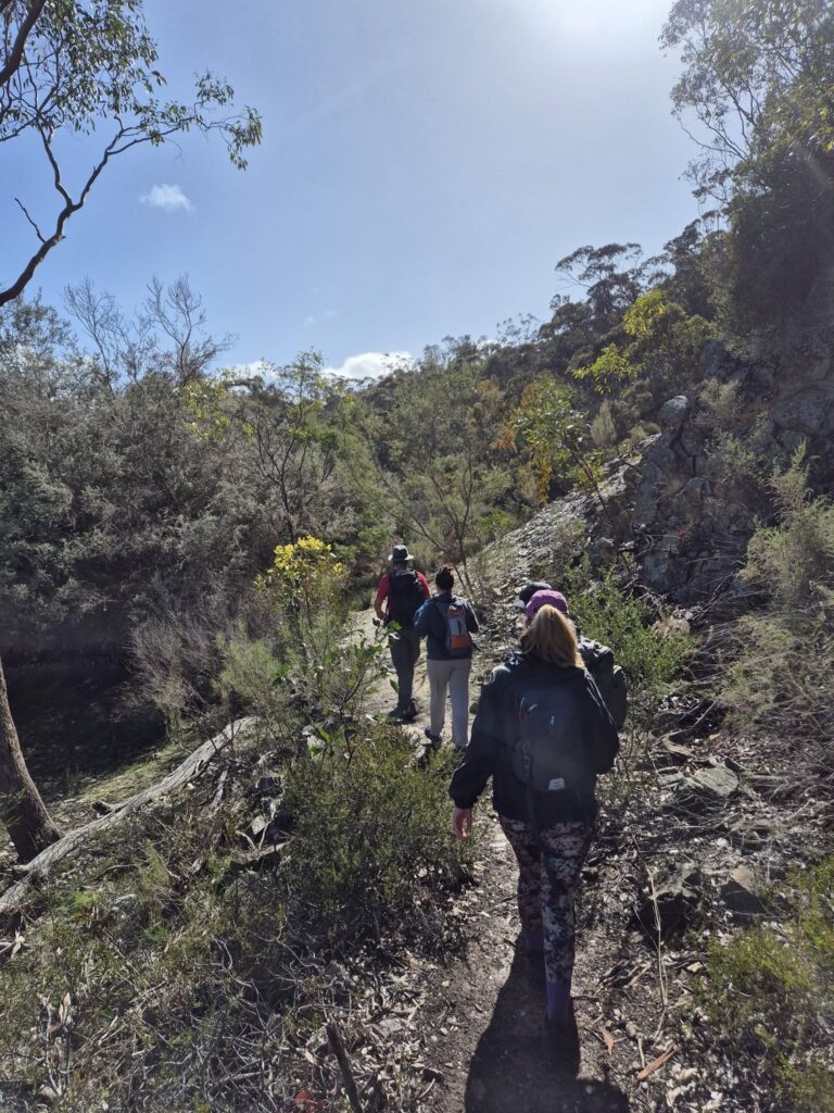 TakeShape Adventures - longforest_30082025_5