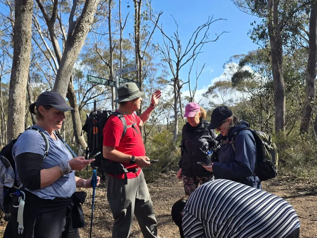 longforest 30082025 7