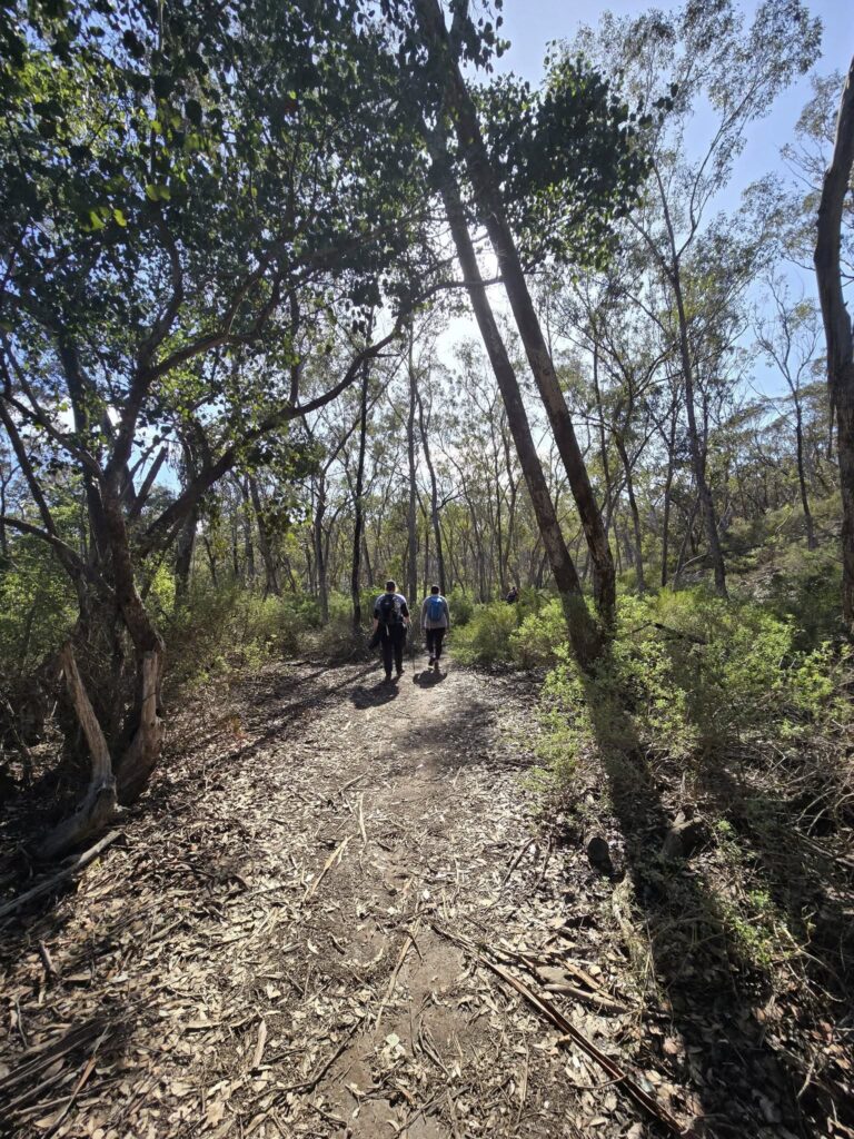 TakeShape Adventures - longforest_30082025_9