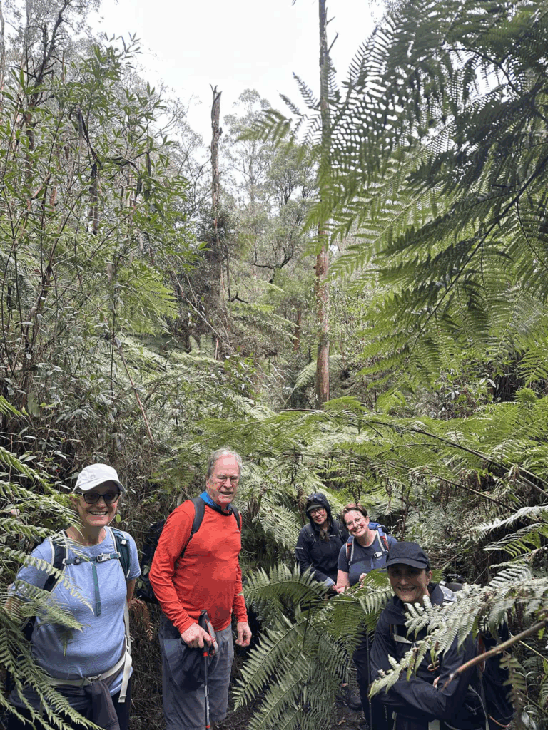 TakeShape Adventures - tanglefoottrack_13092025_1