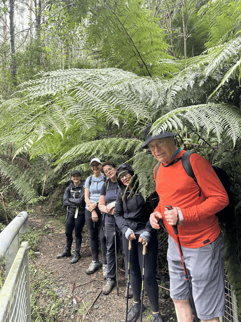 TakeShape Adventures - tanglefoottrack_13092025_4