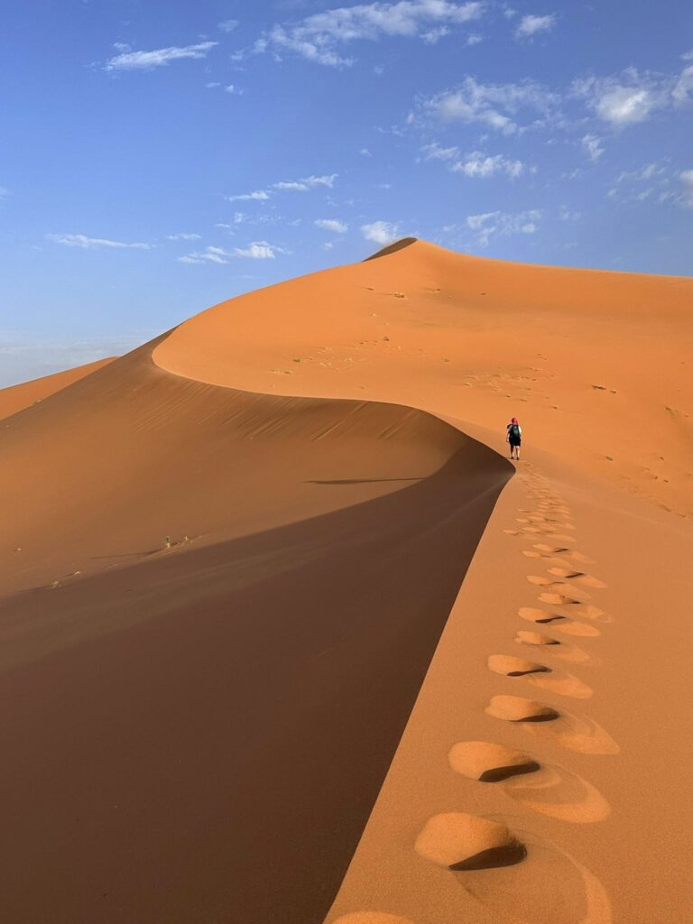 TakeShape Adventures - morocco_16092025_49