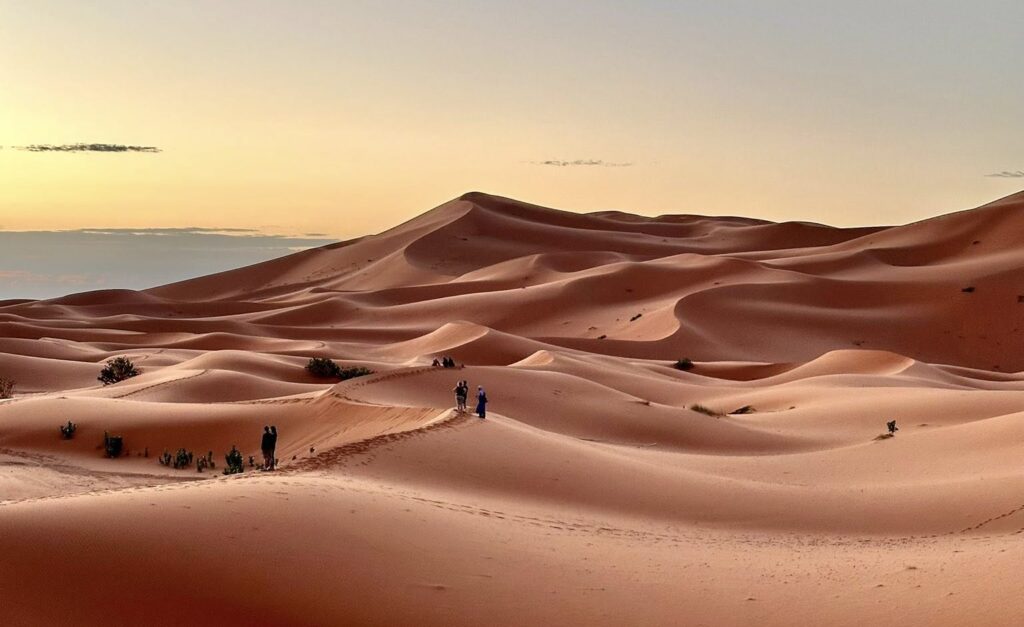 Must-Have Experiences in Morocco