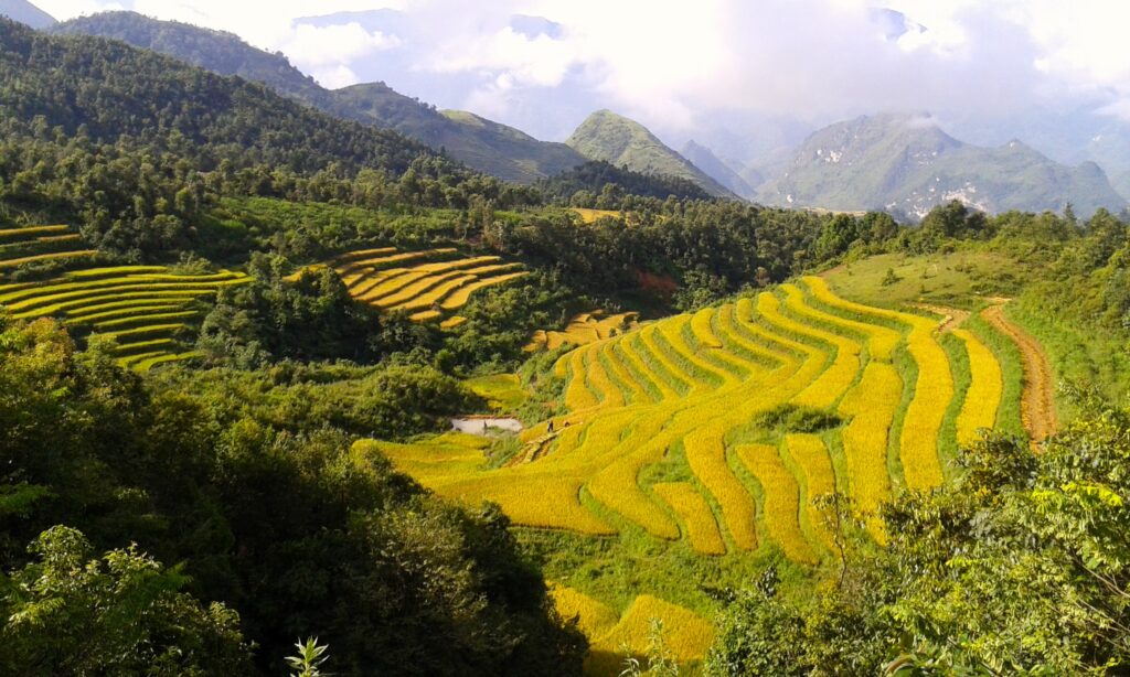 TakeShape Adventures - vietnam (2)