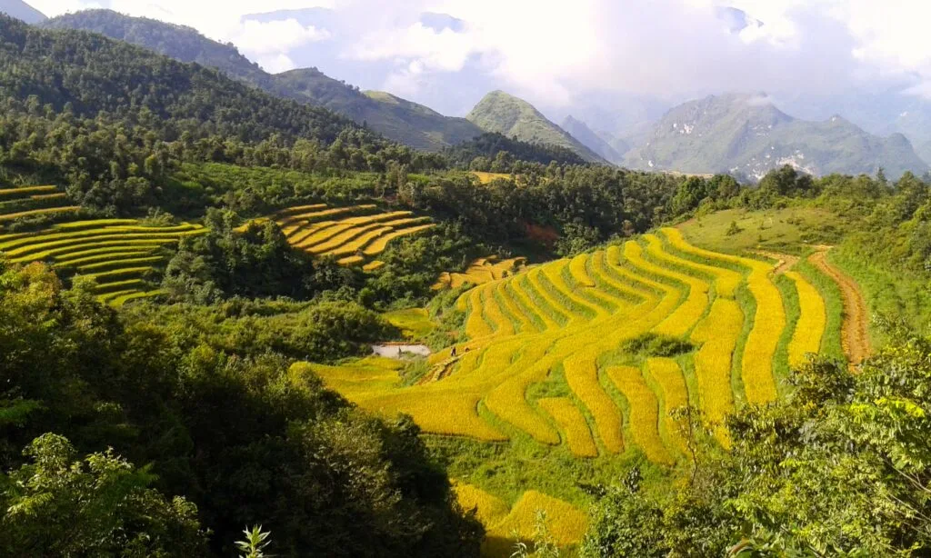 TakeShape Adventures - vietnam (2)