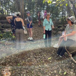 TakeShape Adventures - ForestTherapy Image
